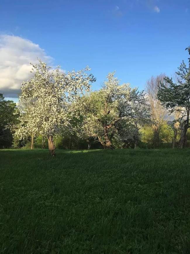 1824 Farmhouse For Sale In Tunbridge Vermont — Captivating Houses