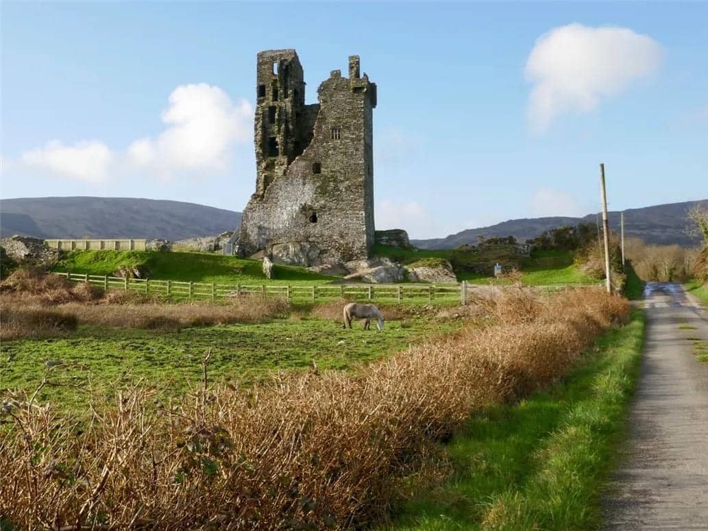 1560 Castle Donovan For Sale In Cork Ireland