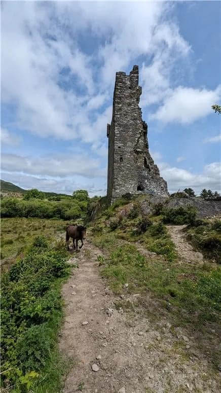 1560 Castle Donovan For Sale In Cork Ireland