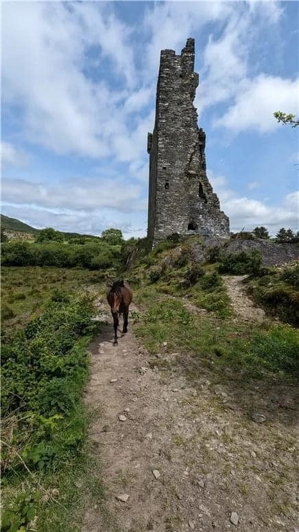 1560 Castle Donovan For Sale In Cork Ireland